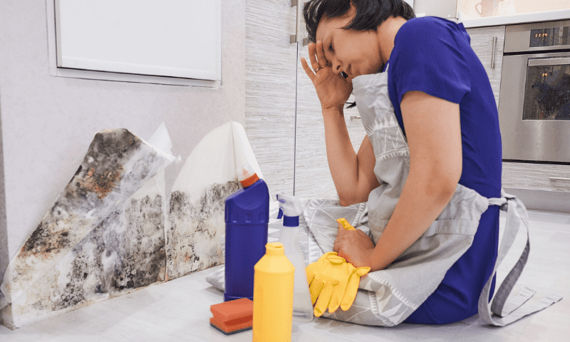 MOLD-CLEANUP-Services